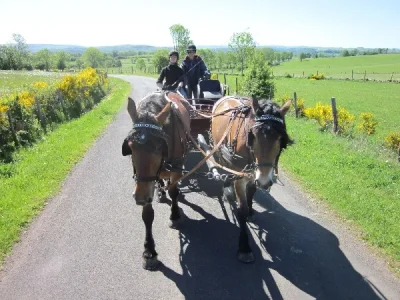 Ecole-d039attelage-de-l039Aubrac-Balade-en-attelage-8211-Cantoin_2226502
