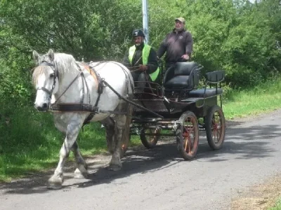 Ecole-d039attelage-de-l039Aubrac-Cours-et-stages-d039attelage-8211-Cantoin_2227003-1