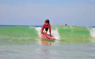 Ecole-de-Surf-La-Sud-Surf-School_1134348