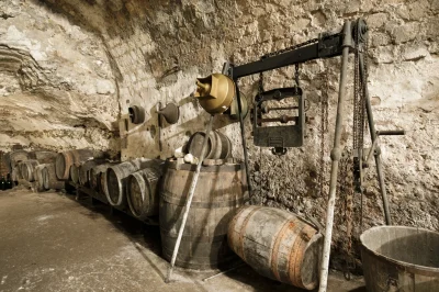 Ecomusee-des-Vignerons-et-Artisans-du-Drouais-8211-Dreux_3252019