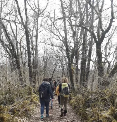 Ecotherapie-dans-la-nature-Juliette-Cheriki-Nort_704741