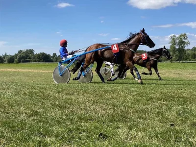 Ecurie-Trot-a-Poney-14-8211-Lisieux_3523474