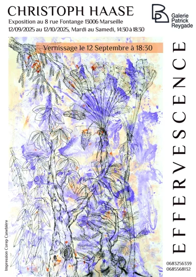 Effervescence-8211-12-09-2025-8211-Marseille-6e-Arrondissement_3178376