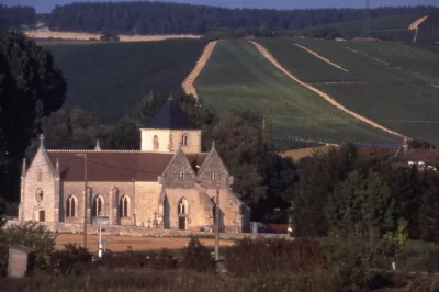 Eglise-Saint-Loup-de-Troyes_554393