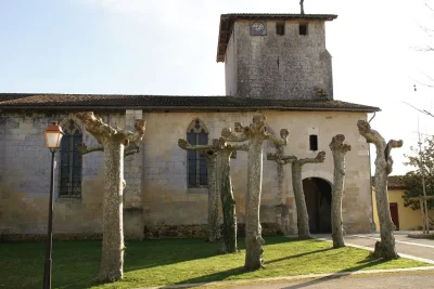 Eglise-Saint-Martin-8211-Caupenne_2488768
