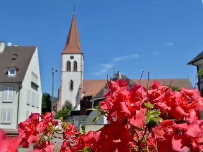 Eglise-Saint-Martin_647045