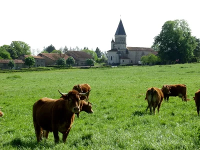 Eglise-de-Maisonnais-sur-Tardoire-8211-Maisonnais-sur-Tardoire_2525118