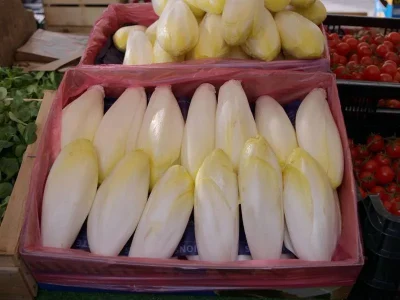 Endival-producteur-d039endives-8211-Bourgheim_3439831