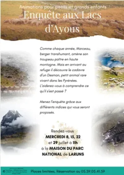 Enquete-aux-lacs-d039Ayous-8211-22-07-2026-8211-Laruns_3713621