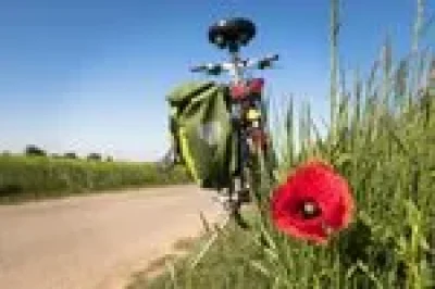 Entre-Chinon-et-la-vallee-de-la-Vienne-8211-Circuit-velo-n°39-8211-Cravant-les-Coteaux_3684906