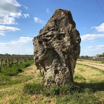 Entre-bois-et-vignes-8211-Sainte-Radegonde_1056095