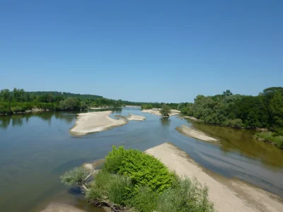 Entre-fleuve-et-riviere-decouverte-de-la-vie-sauvage-8211-28-06-2025-8211-Cuffy_2585660