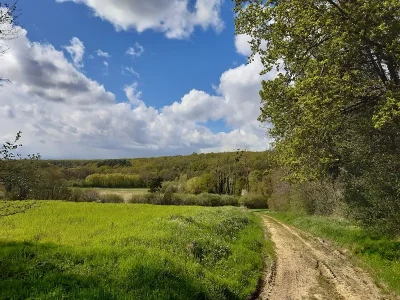 Entre-osier-et-troglos-8211-Villaines-les-Rochers_1836197
