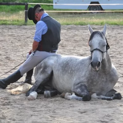 Equi-Logos_1057064