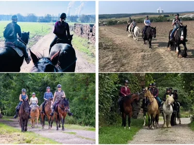 Equi039del-8211-Breistroff-la-Grande_3604749