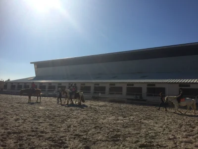 Escales-Patrimoine-Balade-a-cheval-8211-15-07-2025-8211-Marignane_2689971