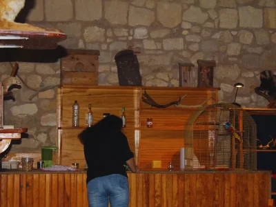 Escape-game-a-Terres-d039Oiseaux-8211-18-10-2025-8211-Braud-et-Saint-Louis_2975538