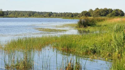 Espace-Naturel-Sensible-Etang-de-Beaurepaire-8211-Saint-Maurice-Etusson_3568590