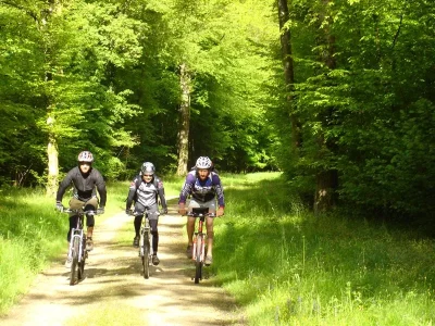 Espace-VTT-Hautes-Vosges-Gerardmer-8211-Gerardmer_3240267