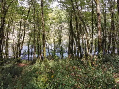 Espace-naturel-du-Bois-de-la-Pimpine_592809