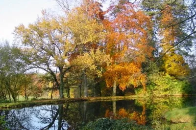 Espace-naturel-sensible-Domaine-du-Ciran-8211-Menestreau-en-Villette_1734531