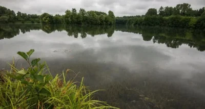 Espace-naturel-sensible-des-Savoies-et-des-Nepruns-8211-Amilly_2362579