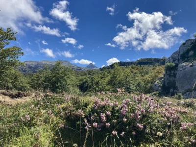 Espace-nordique-de-La-Pierre-Saint-Martin-en-ete-8211-Arette_1936923