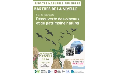 Espaces-Naturels-Sensibles-de-Ciboure-A-la-decouverte-des-oiseaux-et-du-patrimoine-naturel.-8211-13-02-2026-8211-Ciboure_3486936