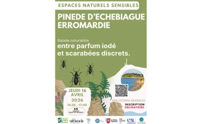 Espaces-naturels-sensibles-de-Saint-Jean-de-Luz-Pinede-d039Etchebiague-entre-parfum-iode-et-scarabees-discrets.-8211-16-04-2026-8211-Saint-Jean-de-Luz_3475573