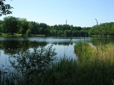 Etang-Federal-du-Donzeil_1044756