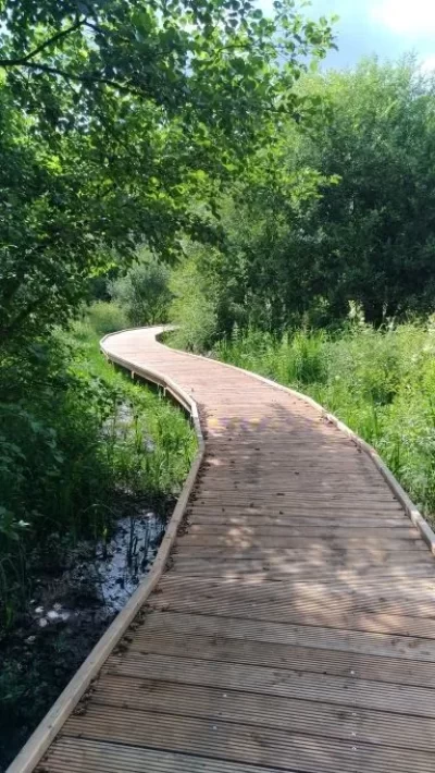 Etang-Neuf-Aire-de-pique-nique-et-de-jeux_1133249