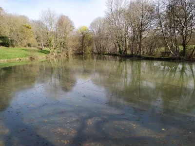 Etang-communal-8211-Oulches_2517950