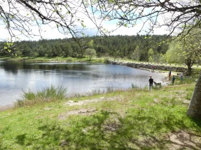 Etang-de-Barrandon-8211-Trail-n°12-8211-Saint-Etienne-du-Valdonnez_3727339