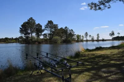Etang-de-Beauchamps_1043155