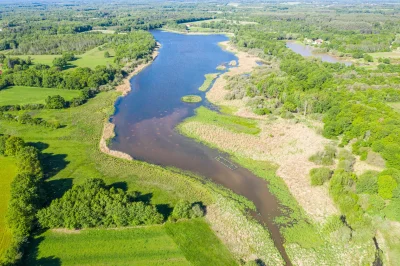 Etang-de-Beaumont-8211-Conservatoire-d039espaces-naturels-Centre-Val-de-Loire-8211-Neung-sur-Beuvron_2369365