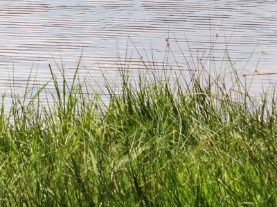 Etang-de-Margnat-8211-Sainte-Feyre-la-Montagne_2349558