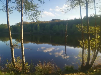 Etang-de-Rochat_1106836