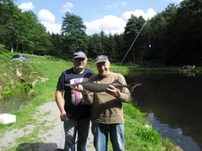 Etang-de-la-Scierie_710115