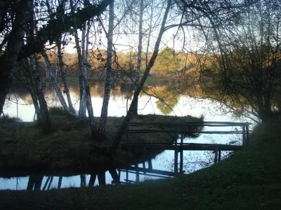 Etang-de-peche-039Les-Pierres-du-Mas039-La-Porcherie_1014779