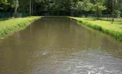 Etang-de-peche-de-Liepvre_710640