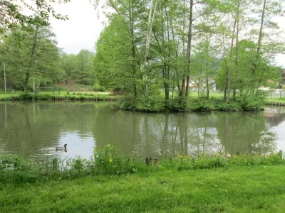 Etang-de-peche-de-Ville_710102