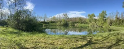 Etang-de-peche-du-Grienle-8211-Oberentzen_3688736