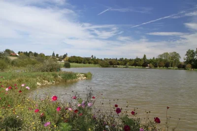 Etang-des-Buissons-8211-Pellevoisin_1524321