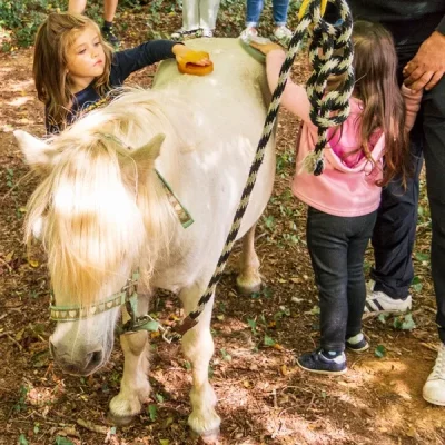 Ete-actif-8211-balade-a-poney-8211-25-08-2025-8211-Lanouaille_2289889