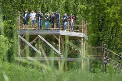 Evenement-art-et-nature-Deployer-la-nuit-8211-25-07-2026-8211-Paillet_3591631