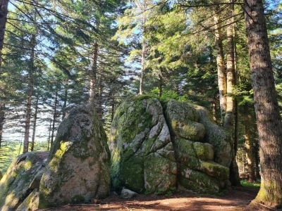 Excursion-a-Cheylard-l039Eveque-8211-Trail-n°43-8211-Saint-Flour-de-Mercoire_3739283