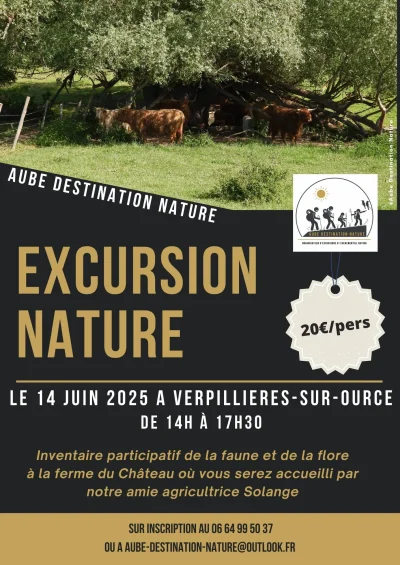 Excursion-nature-8211-14-06-2025-8211-Verpillieres-sur-Ource_2680845