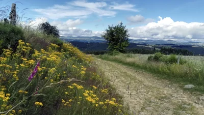 Expedition-a-la-foret-de-Villedieu-8211-Trail-n°34-8211-Grandrieu_3759159