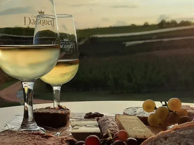 Experiences-Mossig-amp-Vignoble-Rendez-vous-d039Olivier-8211-29-08-2025-8211-Traenheim_2948383