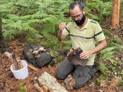 Explorez-la-foret-avec-l039ONF-8211-27-08-2025-8211-Seignosse_2983434